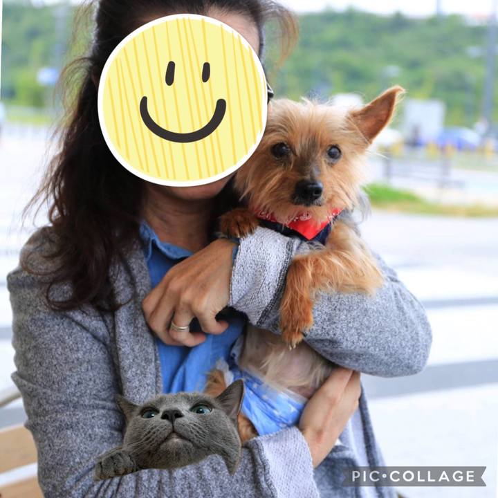 290cc7fe 12d3 4b76 a482 b3501834fec5 1628581826514