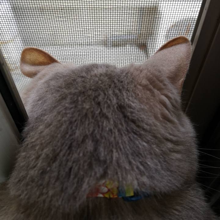 290cd4bd cfef 48f9 9f3a 84f5026fdf50 1559891953257