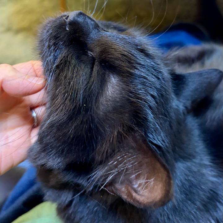 290ced4c b595 4c8b 89b0 2d6e72413209 1772098293942