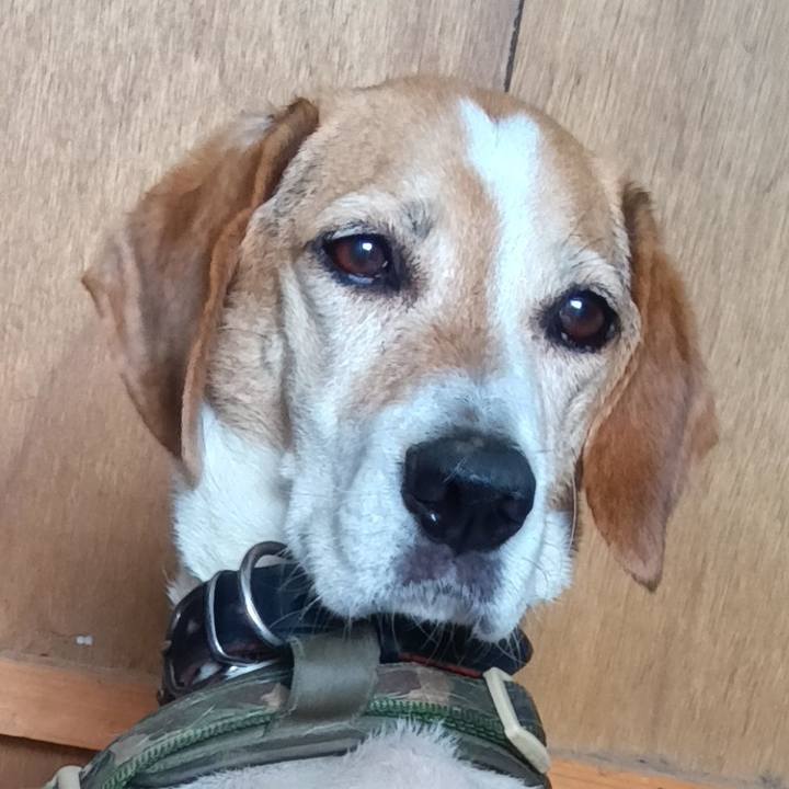 290d21fe d422 4877 94a8 6c26b2c3bdf7 1720007383008