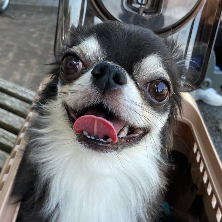 290d2558 1d02 4e73 95a8 77d9b6fe578d 1659328774486