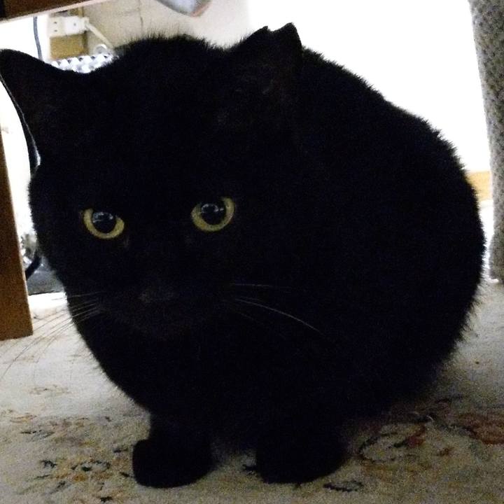 290d2b0a 8b75 4cd7 b7fe d75530f31204 1607657689541