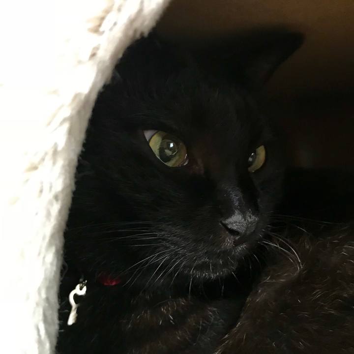 290d34c1 e5bf 4723 9049 6d44ae0b13e1 1530348680409