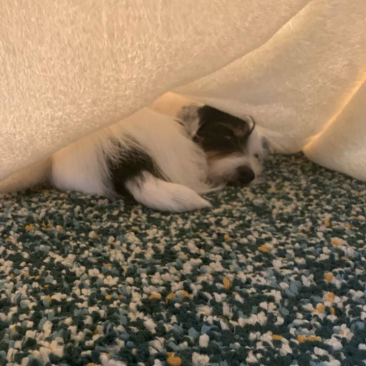 290d4188 0695 4b88 934e 64e1280b7a8c 1701492854987