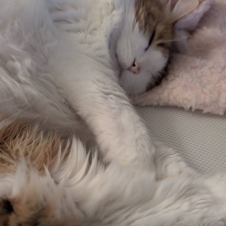 290d4c1e c1be 4645 b070 aabe049c9f1f 1747143988593