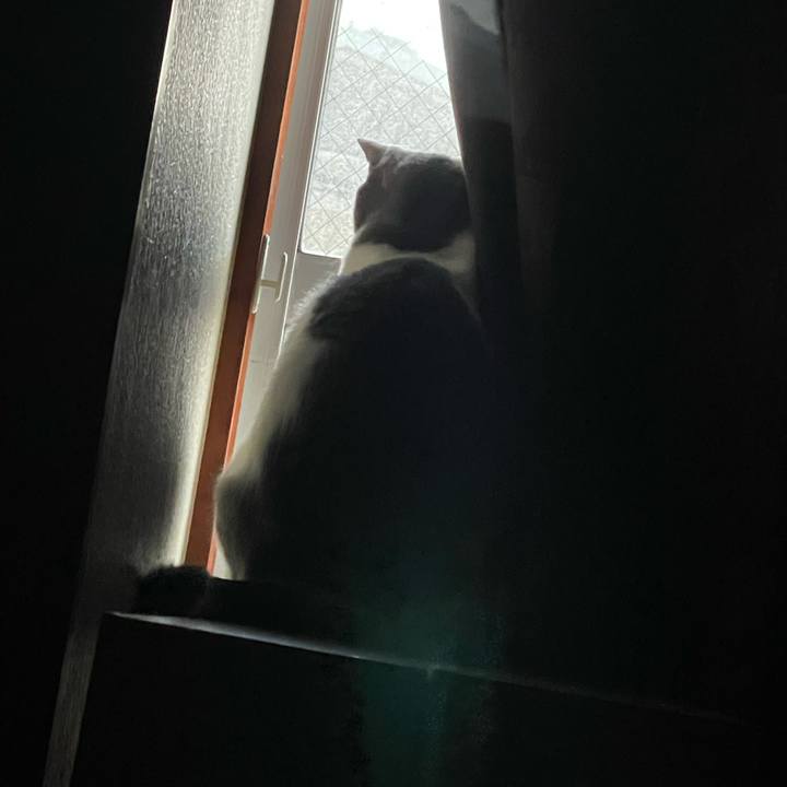 290d8351 145e 4503 8323 bb3255ee8a7a 1697144573665