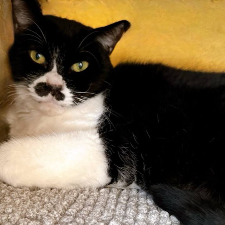 290daa87 cfaa 4ff5 bcb1 d0d13558287d 1735793400458