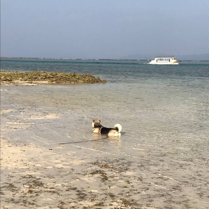 290dd51a 5b8a 4864 b406 639b3f407b8e 1522765033897