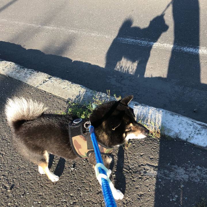 290e0b7e 5e21 4115 b23f eff9565e61ed 1535860604758