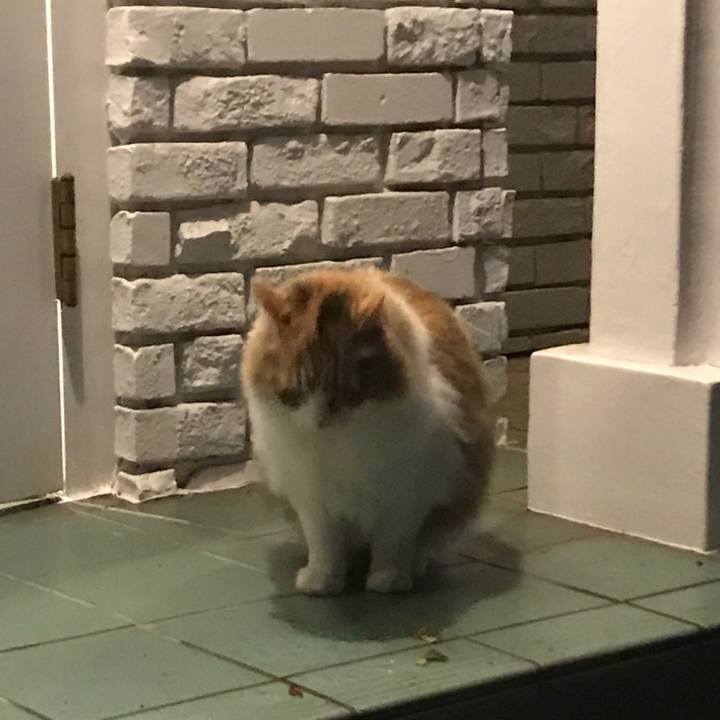 290e61be b8a7 4956 aed4 923182593852 1593570866618