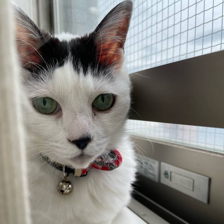 290eaa5b e781 41f7 b548 dc29b3d2c40b 1717922734321