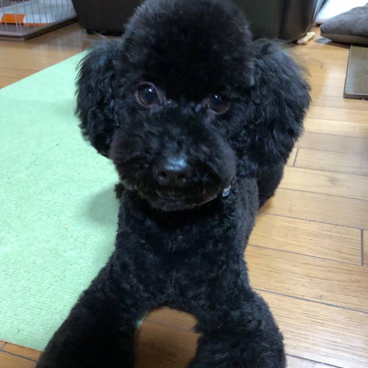 290f02bd b59f 435c 9825 198be922db9e 1546814634766