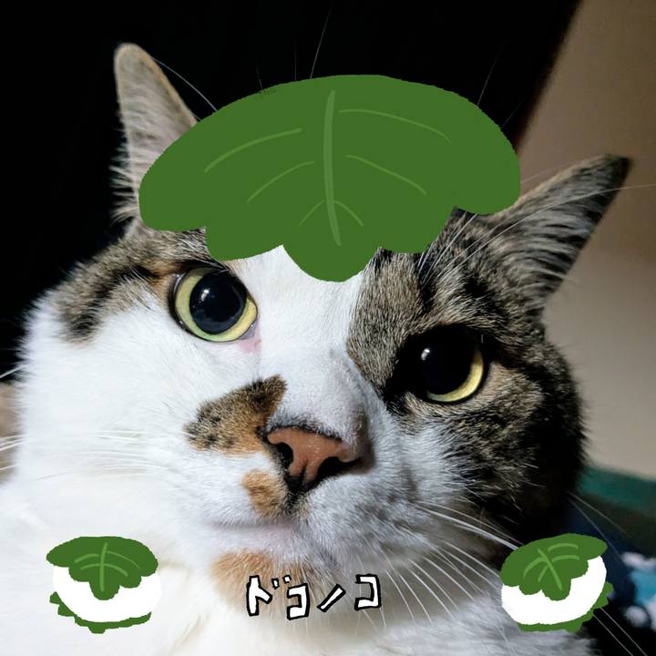 290f26f4 8cd6 4e6a bd97 f10b57b73331 1749644806572