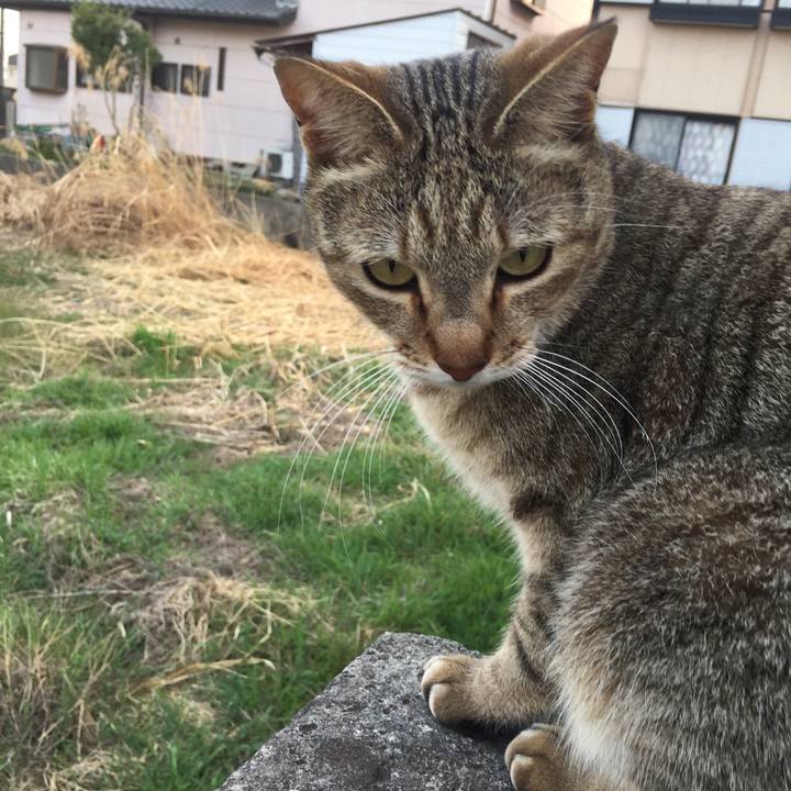 290f31ae 95c3 4a09 af8d 97717862c0f5 1523486974805