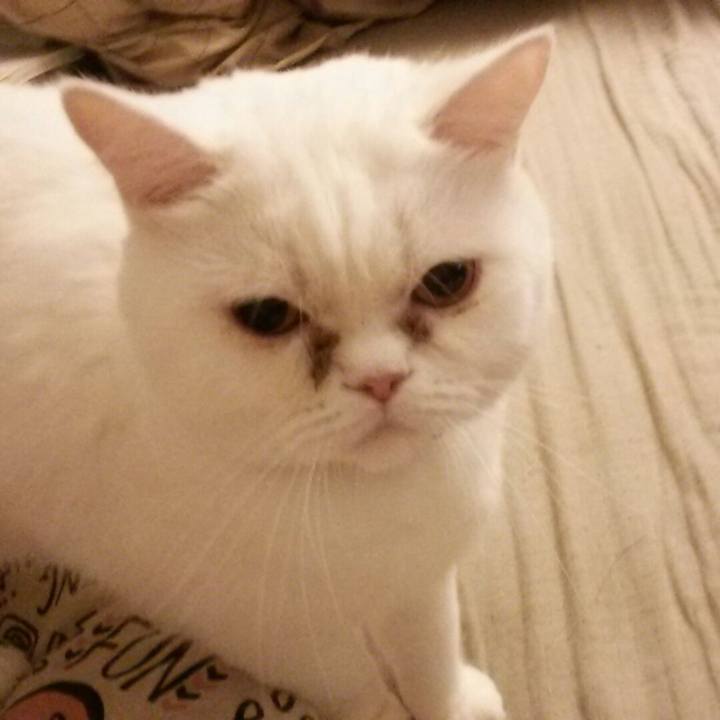 290f8320 0058 42cd af74 cbc9e98b83f2 1511087828084