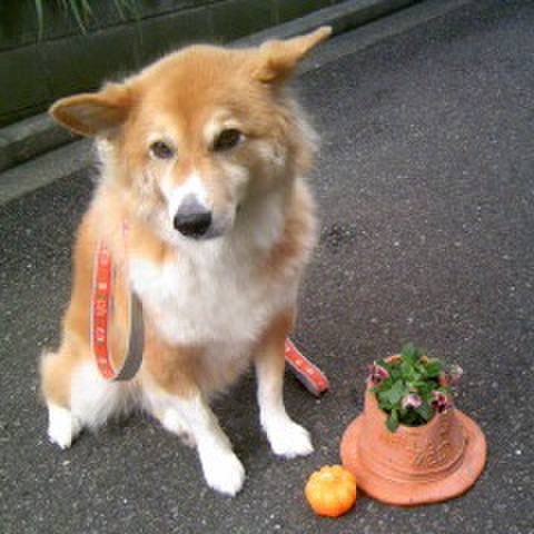 290f850e 58e5 4b6f 8082 29893a649e69 1547095414450