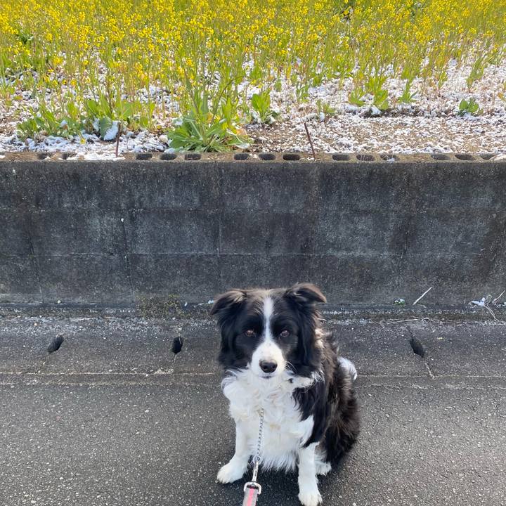 290fb60f a2fc 44d7 afb4 447369517883 1645059464868