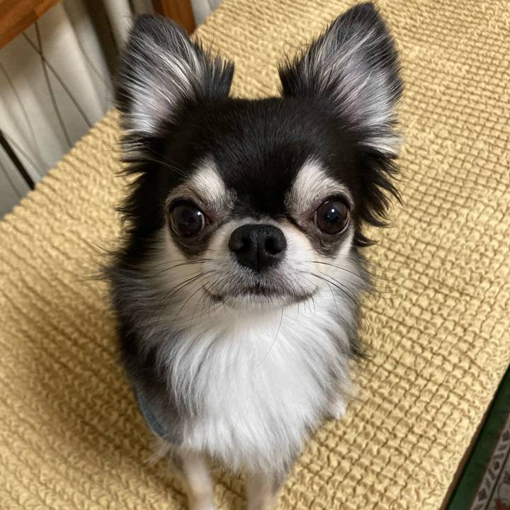 290fc9e0 b643 4ff5 9954 fa1ec240f3d8 1653144114262