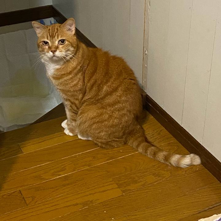 29100337 c8c4 478d b2f3 77ab308c7a3d 1653403378641