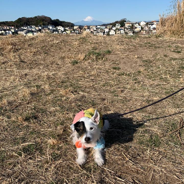 2910111f 6716 49c5 bd41 d0ea9713f6e7 1674696227362