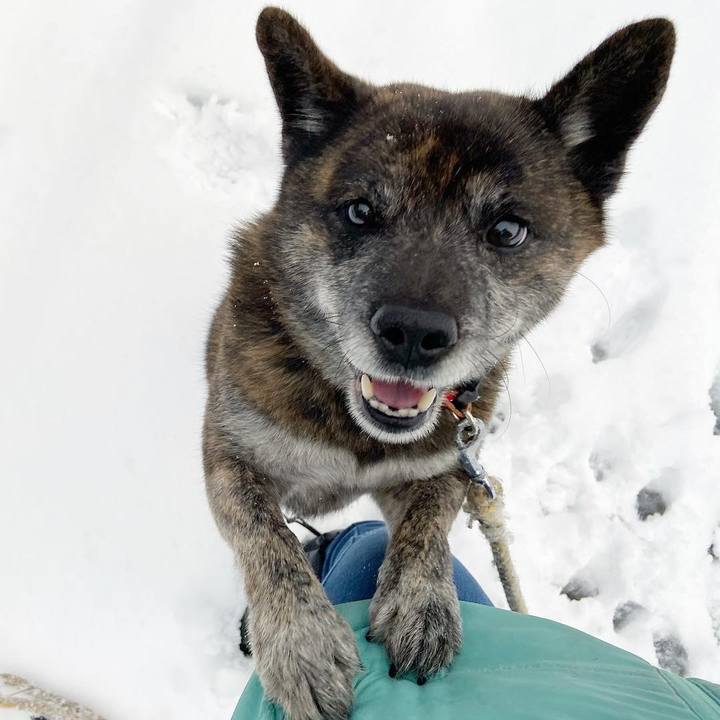 29103f56 dcc1 4cc9 ba16 2c2cd8782efa 1609717312663