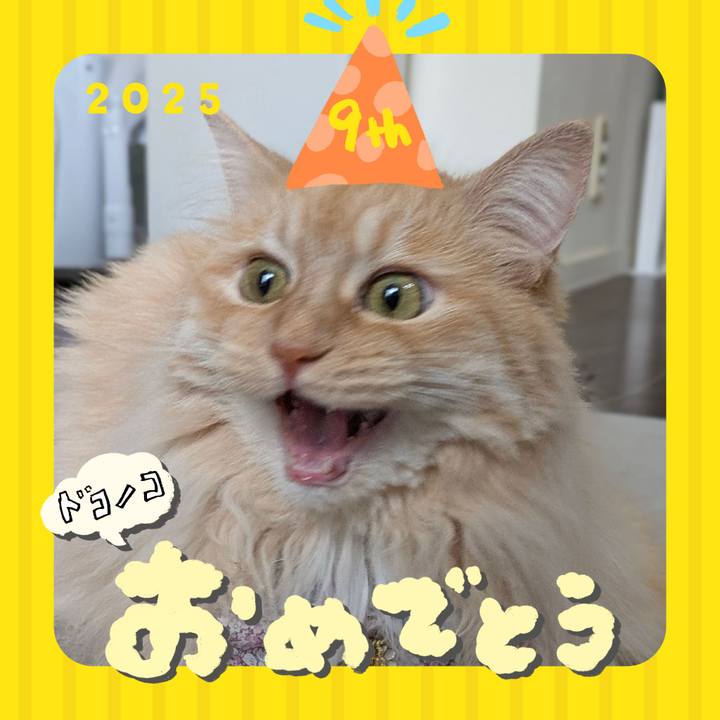 29104319 620f 40c9 9709 bf4f9f5f9bfe 1749093493234