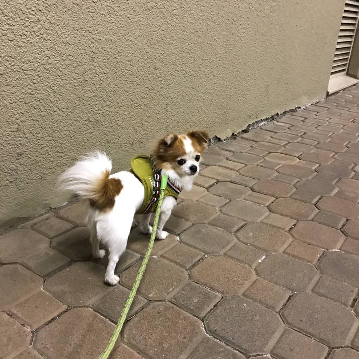 2910595f 2cbb 4496 994b 7b9693382100 1511401936598