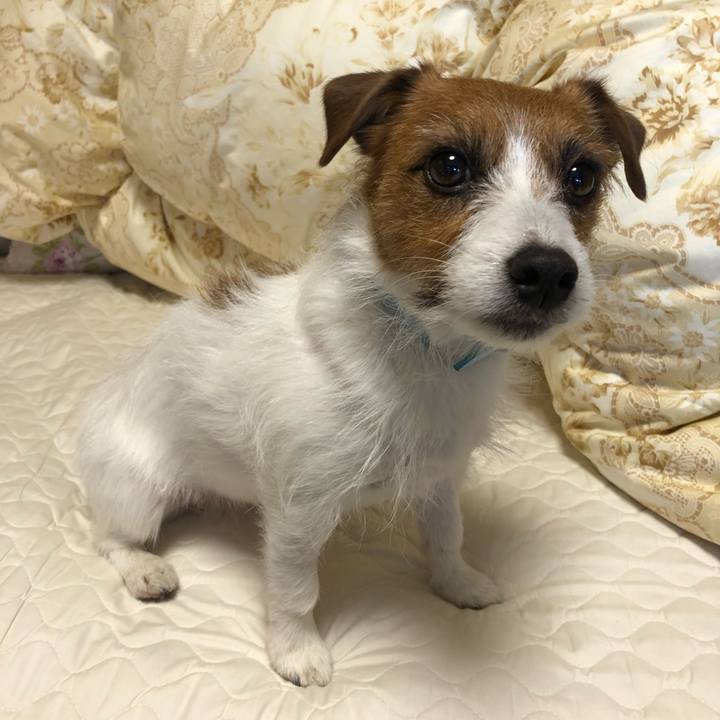 29106bcc fad2 405a 82a9 234c0f6392a2 1514948930397