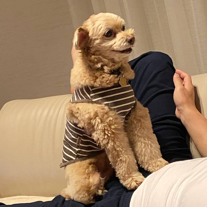 29106cd6 cfa3 460e bfff 711e581eb50e 1580865575231