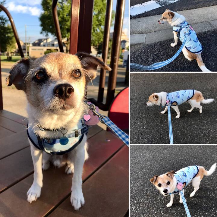 29107c77 7656 4773 b89d ff11e78128da 1627855251375