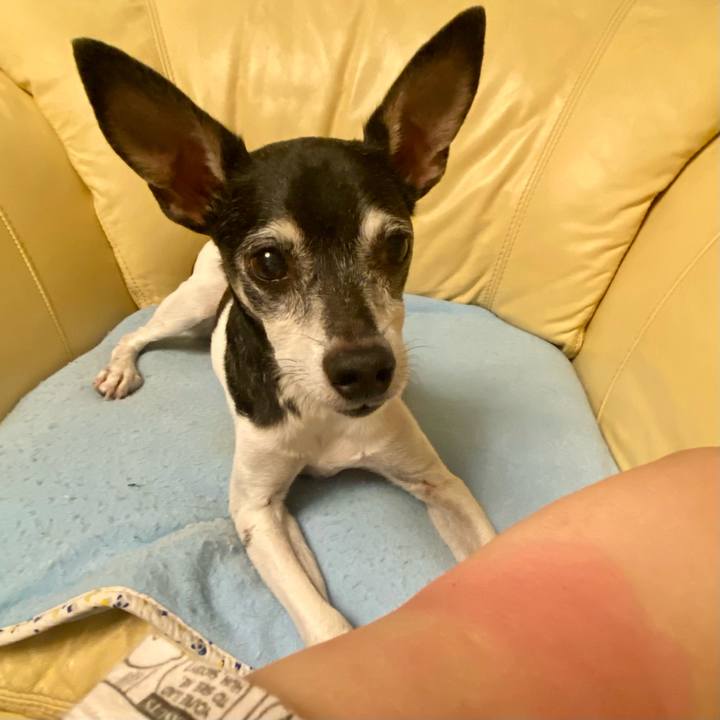 2910c403 df8b 4be0 9f75 15501d2505ac 1627300321085