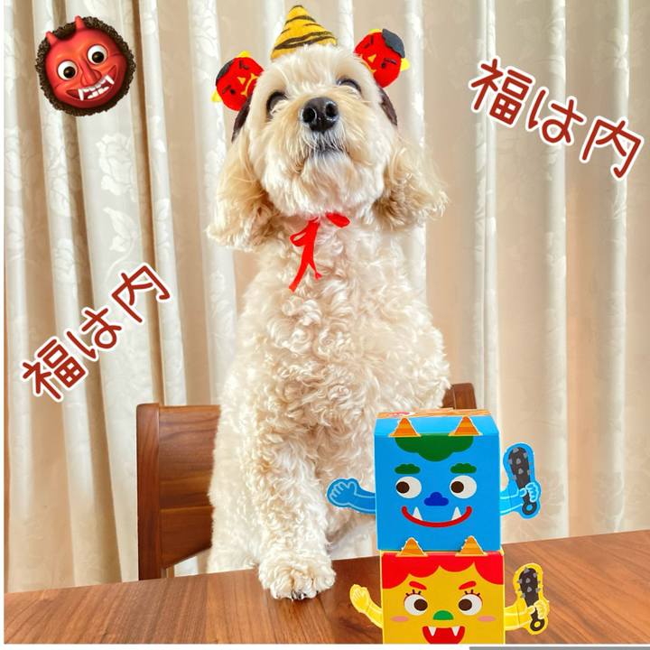 2910e3be 7b4a 486f 9430 4dd6e0f17b6c 1770079089994