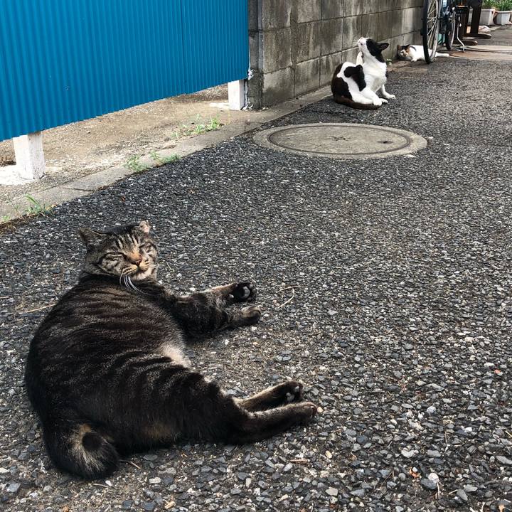 291102ee e683 45a0 8667 adc10c01bc14 1565878884141