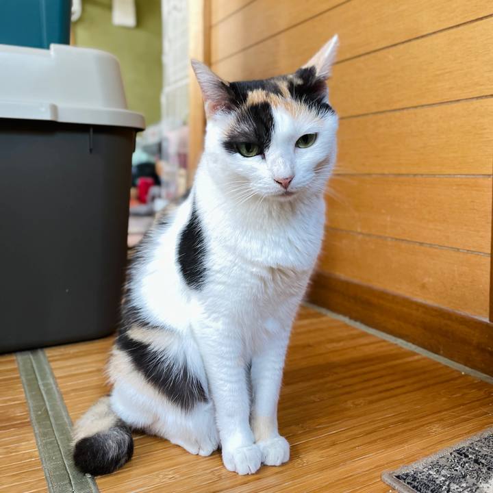 2911100d 364a 4608 84a9 8423358e5269 1663208551088