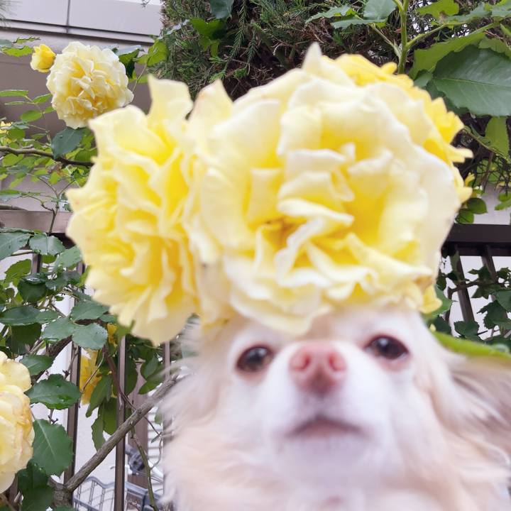 291110de 539d 4abc ab49 bb717a6e0f0e 1747914021468