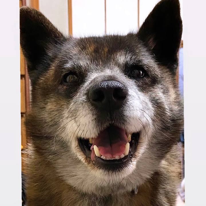 29111386 cd6e 488e a498 10d4b1ed5732 1648546797797