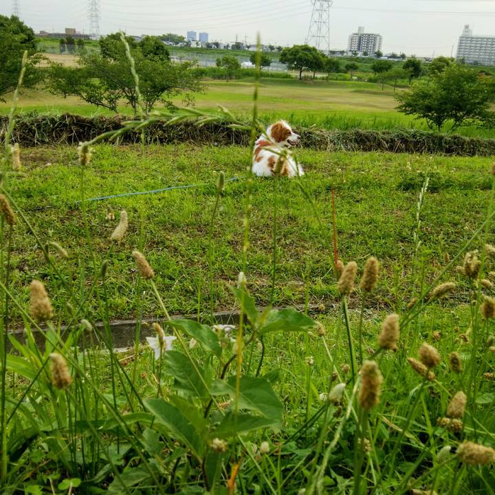 29112604 7dac 4c94 bacf a5a8e098c45e 1560847841403