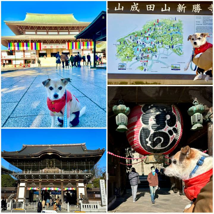 29112ad2 f872 43d8 8983 aaa38880fc0f 1703325624436