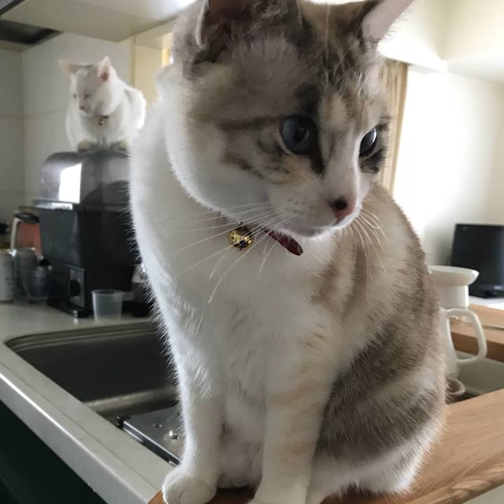 291141e8 d8b1 4142 a8fe 0b9cf0f2473d 1514878466383