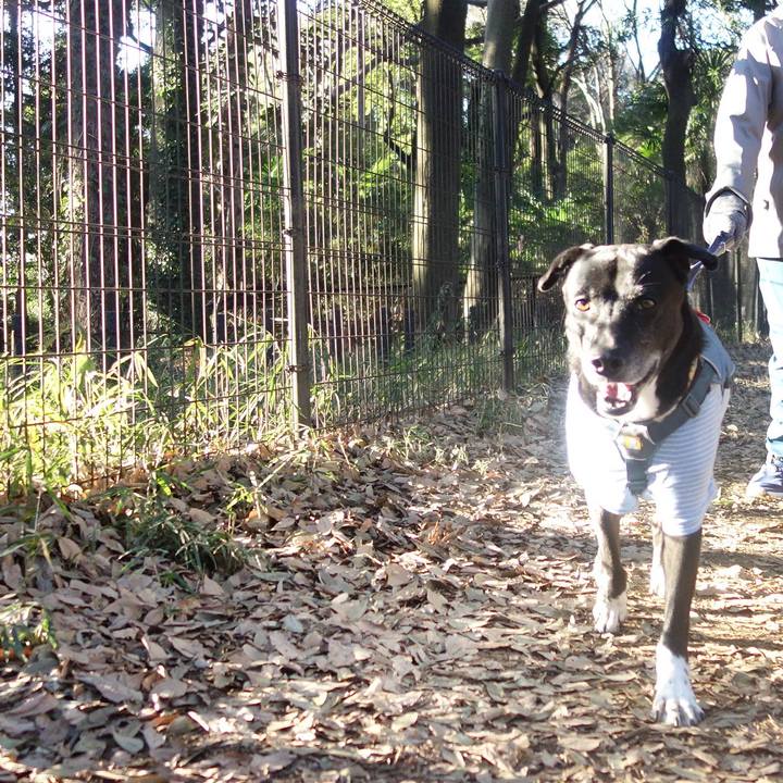 29115718 ddbf 4cb1 88f3 5ee6a3d40dd4 1703816376311