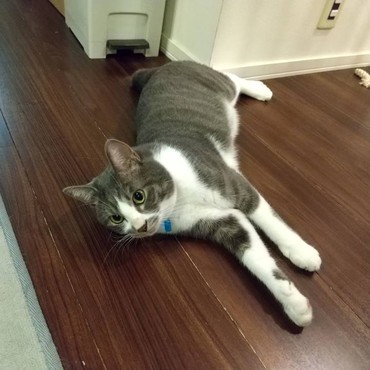 29116215 997b 4f2d a878 10e4b2d0db08 1605698640279