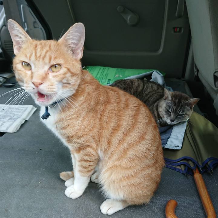 2911907e 415e 40c5 8046 7619714e32df 1563180092619