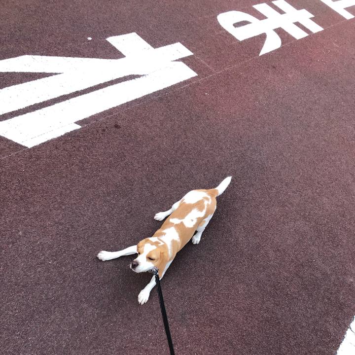 29119bc6 f581 4e47 bd45 f1102c579062 1561618570436