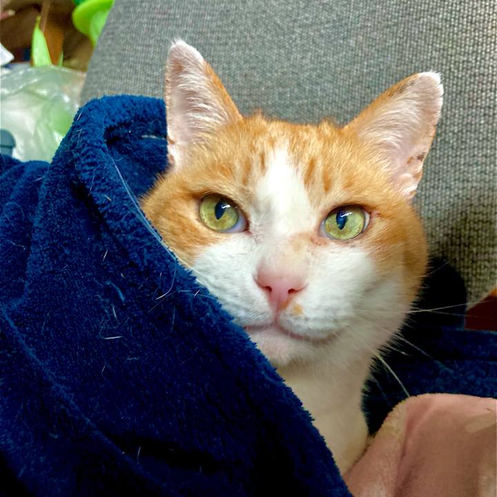 2911c282 b36c 41c8 8d75 9a812dc34681 1651474273357