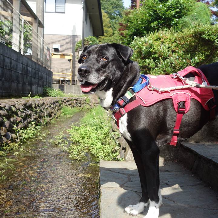 2911f77f 633d 4960 8148 f388057274c8 1684284284989