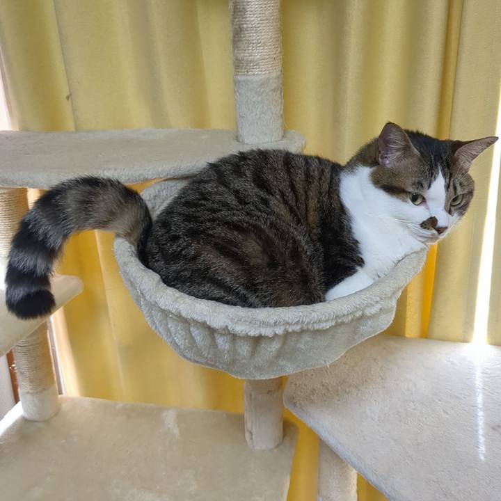 29122385 0421 49c1 a746 206942999e4b 1699325420672