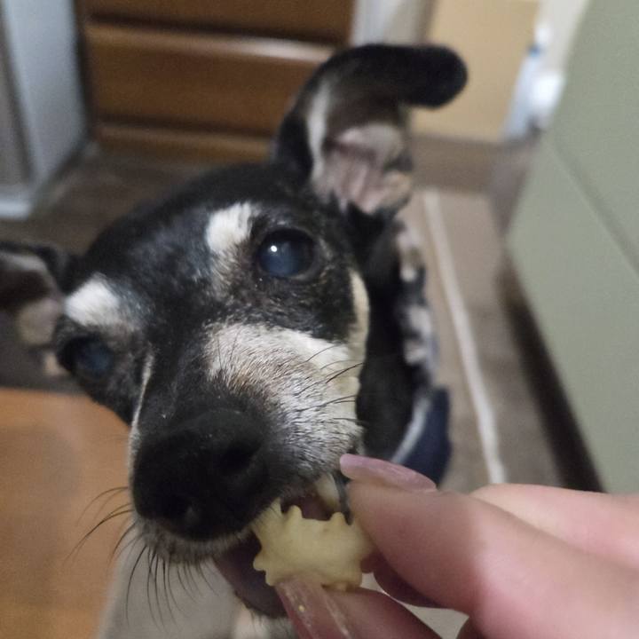 29122767 a83f 45a0 81e3 7c9179384c21 1774295448688