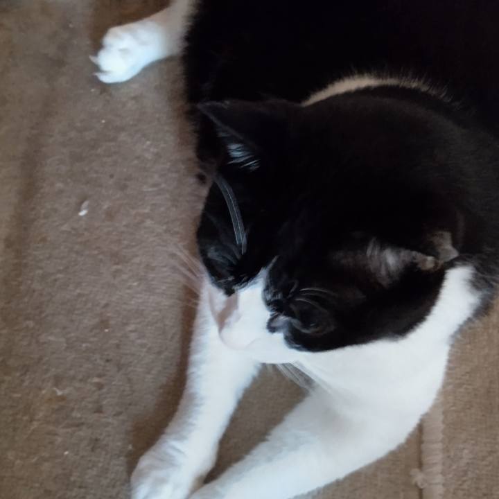 29122d9f f971 4cbd 9111 166fe8a2b856 1629840890601