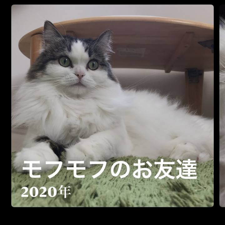 29124c39 cfa2 44c1 9309 c9409a290973 1624767828463