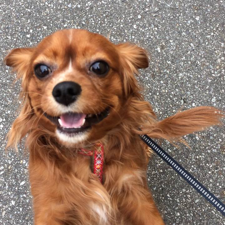 29126295 dd54 4b97 a25c 32d3fc9f51d0 1520372909952